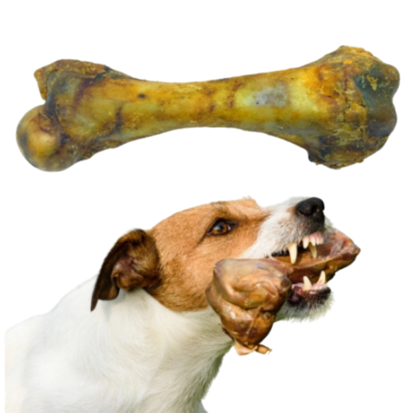KIT 2 OSSOS FEMUR SUINO - Imagem 4