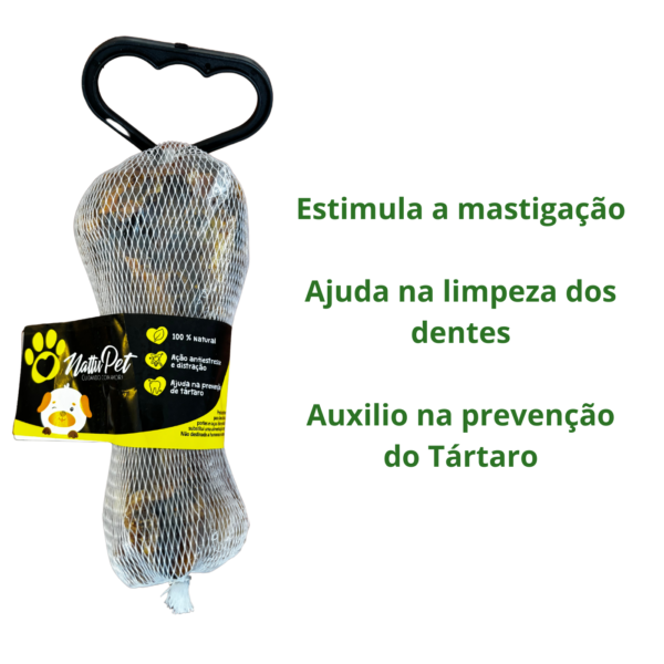 KIT 2 OSSOS FEMUR SUINO - Imagem 2