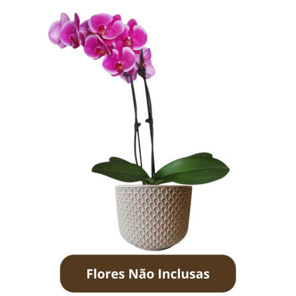 VASO BETA POLIETILENO MINI - Imagem 7