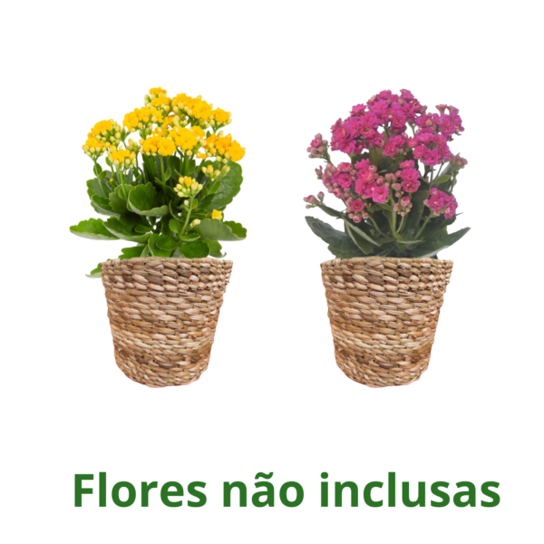 Cachepo De Taboa De 16 Cm Luxo Para Decoração E Organização - Imagem 5