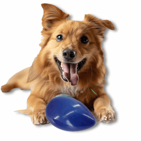 Brinquedo Bola Pet Cão Bola Resistente Interativa Ball - Imagem 5
