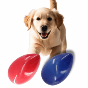 Brinquedo Bola Pet Cão Bola Resistente Interativa Ball